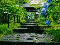 仙台🇯🇵資福寺