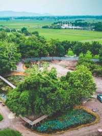 สถานที่เงียบงามที่ซ่อนตัวอยู่กลางธรรมชาติ 🍃
