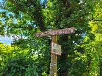 Kahlenberg, Vienna: The City’s Most Breathtaking Viewpoint 