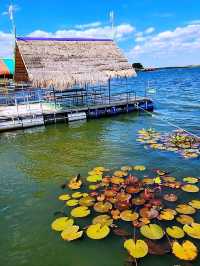 มาล่องเรือชมความงามของบึงหนองหานกันไหม
