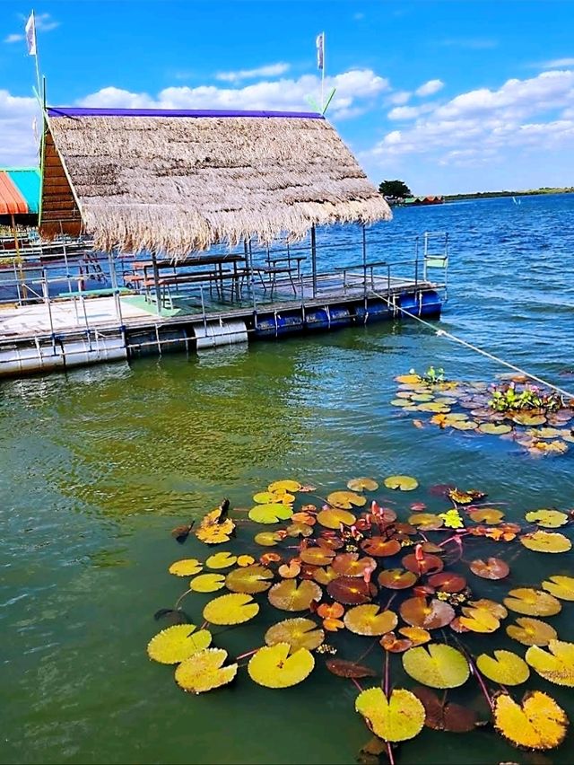 มาล่องเรือชมความงามของบึงหนองหานกันไหม