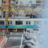 Nakano Sakura Japan