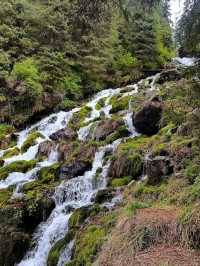 Tianchi in Xinjiang, Mountain Lake with Main Character Energy