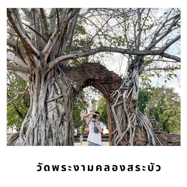 🌅 วัดพระงาม – วัดลับกลางทุ่งกับประตูพุทธซ้อนเวลา