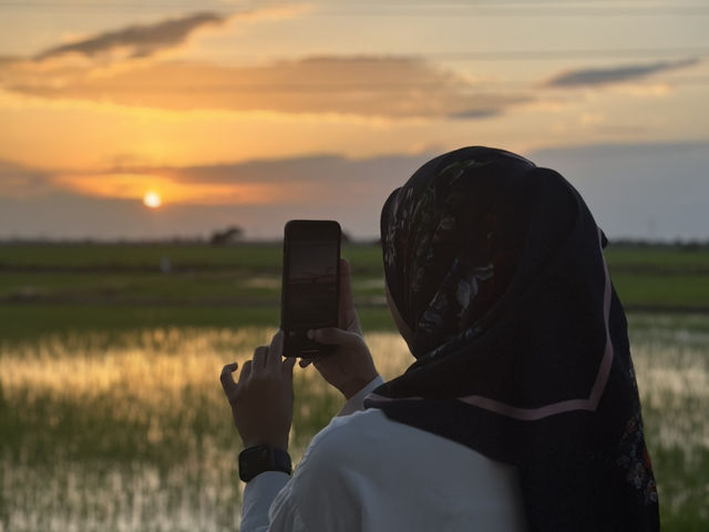 Golden Views in Alor Setar – Where Peace Meets the Padi 🌤️