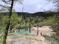 🐉 Huanglong Scenic Area 黄龙风景区 | China’s Fairyland in the Mountains