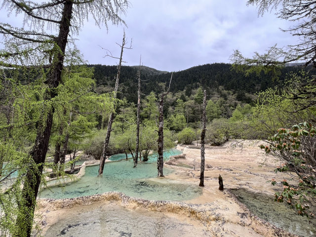 🐉 Huanglong Scenic Area 黄龙风景区 | China’s Fairyland in the Mountains