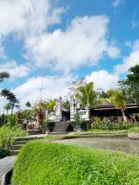 🌸 High Above Bali: My Visit to Happy Swing