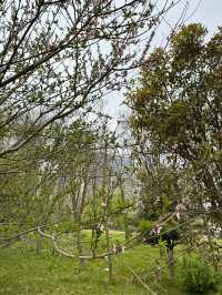 City Calm, Lakeside Light – A Pause at Xiliu Lake Park