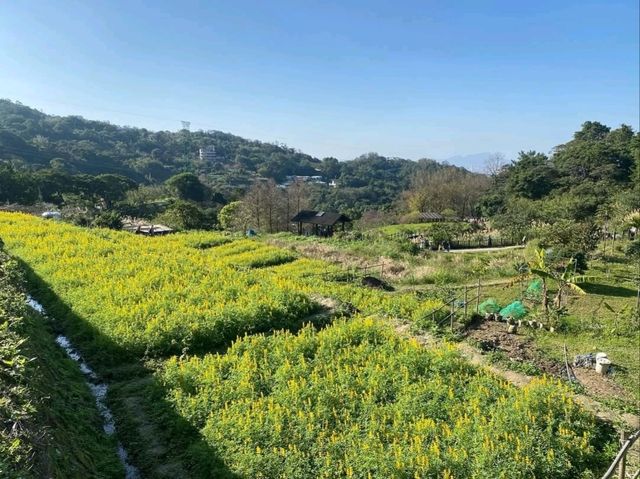 Tranquil Spiritual Retreat at Zhinnan Temple