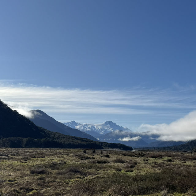Lone tree ; Lone Me