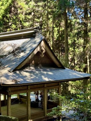 A Day Trip to Kumanoza Shrine, Mount Aso, and Kurokawa Onsen