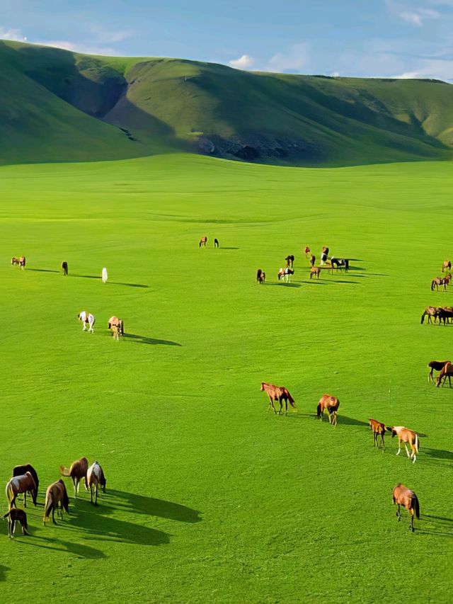 Step into Hohhot: Gateway to Mongolian Heritage