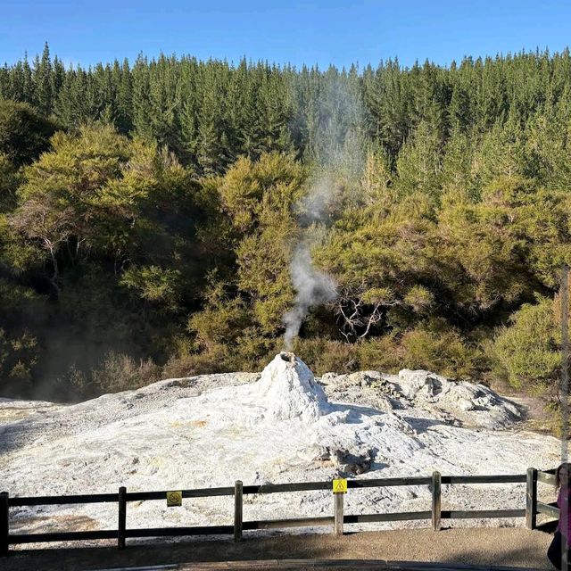 Wai-O-Tapu Thermal Wonderland – New Zealand