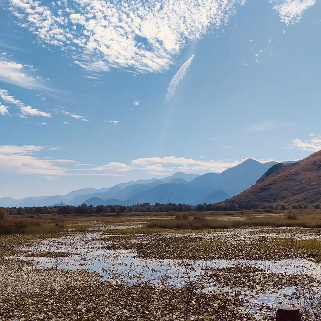 Montenegro: Where Mountains Kiss the Adriatic – Your Ultimate Adventure Awaits!