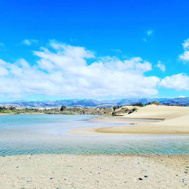 Sun, Sand, and Scenic Dunes in Maspalomas 