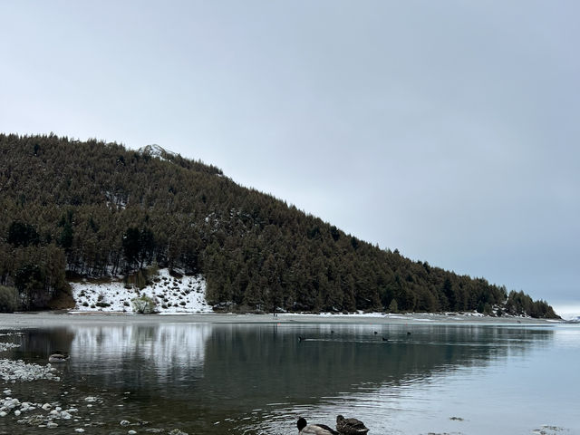     《靜謐的隱世之地：Isolation Bay》 🏞️🌊 