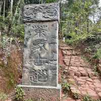 【中国 雲南省】🌿 プーアール 茶馬古道景区