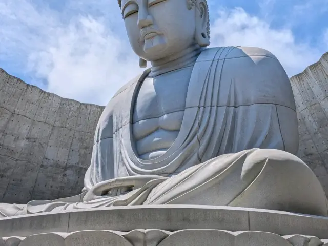 薰衣草花海中的奇蹟──北海道頭大佛