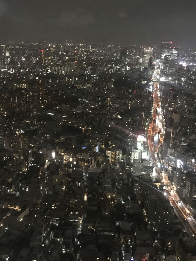 森美術館最新情報とアーカイブ:塩田千春展「魂がふるえる」(2019年) 森美術館最新情報とアーカイブ:塩田千春展「魂がふるえる」(2019年)