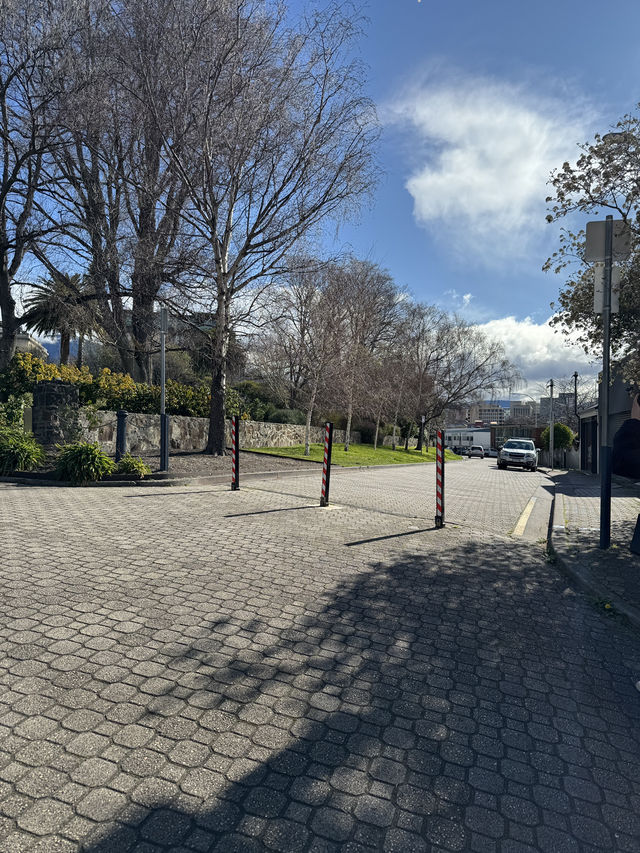 🇦🇺 薩拉曼卡市集（Salamanca Market）** 是霍巴特乃至整個塔斯馬尼亞最負盛名的必體驗項目。
