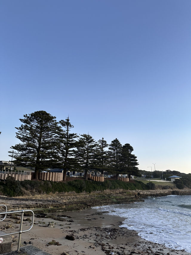 Port Campbell ไม่ใช่แค่จุดแวะพัก