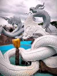 วัดดอนใหญ่ Babyพญานาค