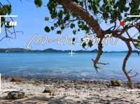 เกาะขาม
