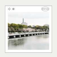 🌸 Chidorigafuchi Park – อุโมงค์ซากุระริมคูน้ำ