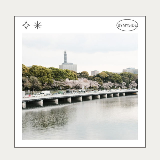 🌸 Chidorigafuchi Park – อุโมงค์ซากุระริมคูน้ำ