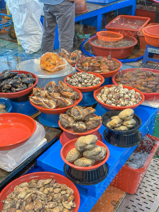 경남 사천 1박 2일 여행 코스 맛집 카페 숙소