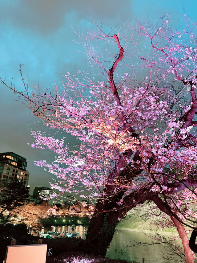 2025.03東京櫻花季行前花費 2025.03東京櫻花季行前花費