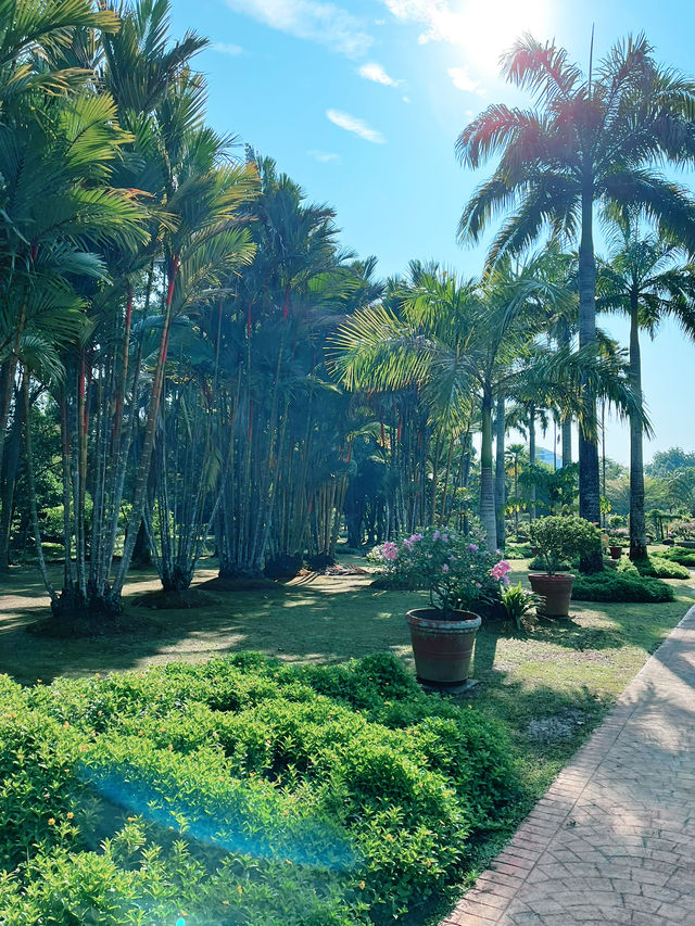  Serene Mornings at Garden Park MBKS 