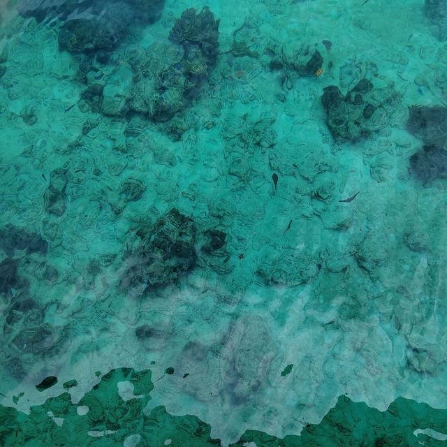 馬達京島最靚海灘秋千打卡🏖