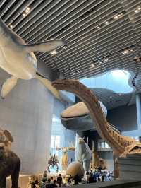 Shanghai Natural History Museum 🦖🦕🐘🦌🦒🦏🦥