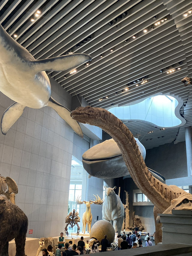 Shanghai Natural History Museum 🦖🦕🐘🦌🦒🦏🦥