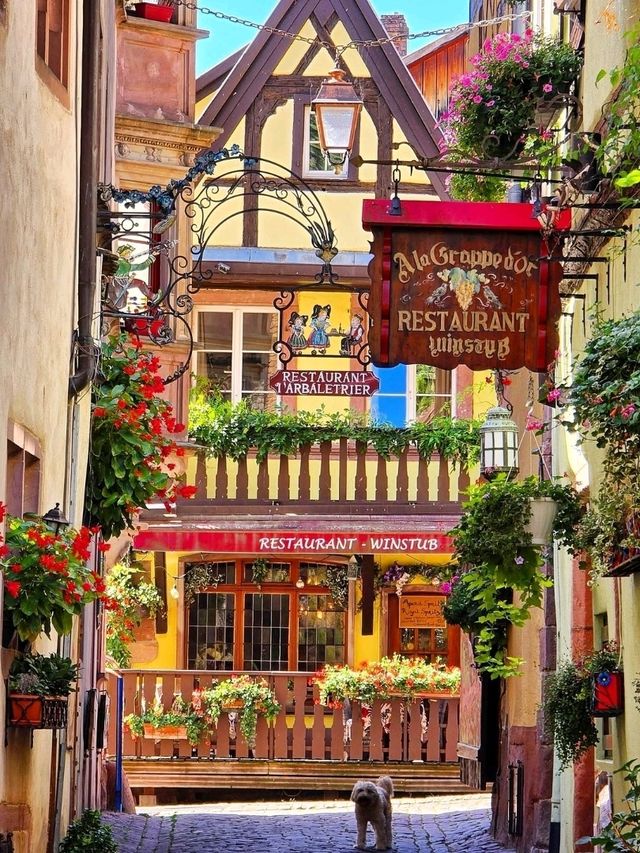 Enchanting Riquewihr: A Timeless Alsatian Gem ✨