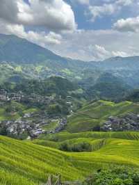 The Dragon’s Spine: Carving Beauty from the Land