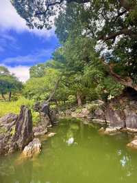 東京｜東京最美的清澄庭園 三菱創辦人的插柳成蔭