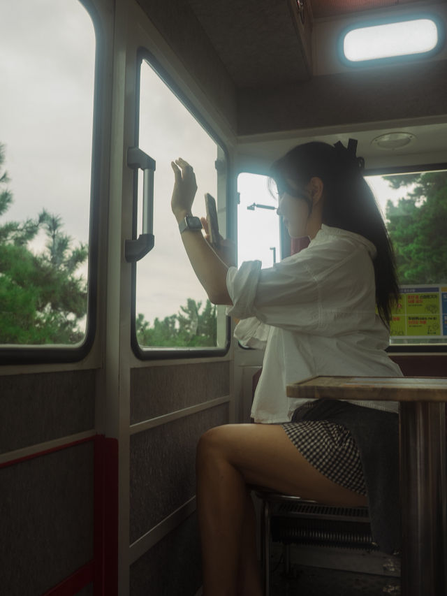 이거타면 부산 바다 다 볼수 있어요 !! - 해운대 블루라인파크 