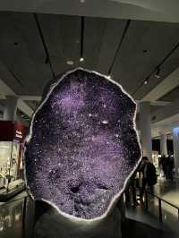 ［紐約旅行］紐約自然歷史科學博物館American Museum of Natural History🦴晚上會活起來的博物館