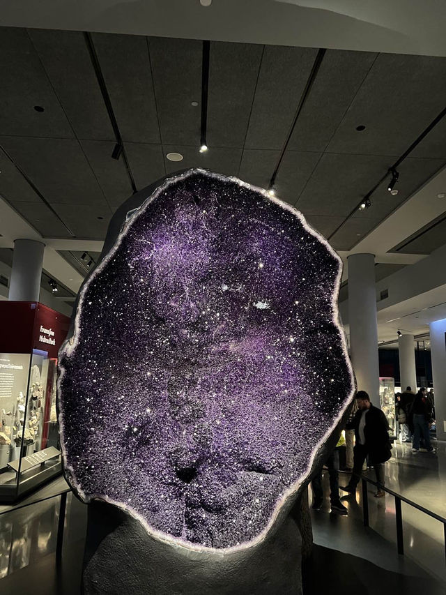 ［紐約旅行］紐約自然歷史科學博物館American Museum of Natural History🦴晚上會活起來的博物館