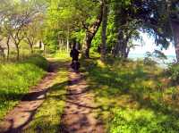 Cycling Through Denmark Freedom on Two Wheels