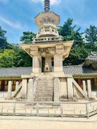 A Walk Through Time at Yangdong Folk Village