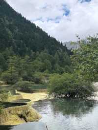 The Valley That Glows with Seasons