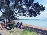New Zealand Adventures : From Islands to Iconic Shores