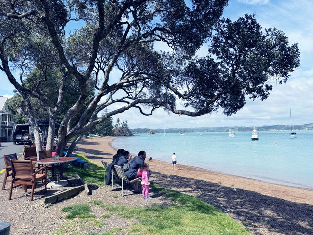 New Zealand Adventures : From Islands to Iconic Shores