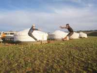 🇲🇳 몽골 여행 – 끝없는 초원에서의 자유 🐎🌿