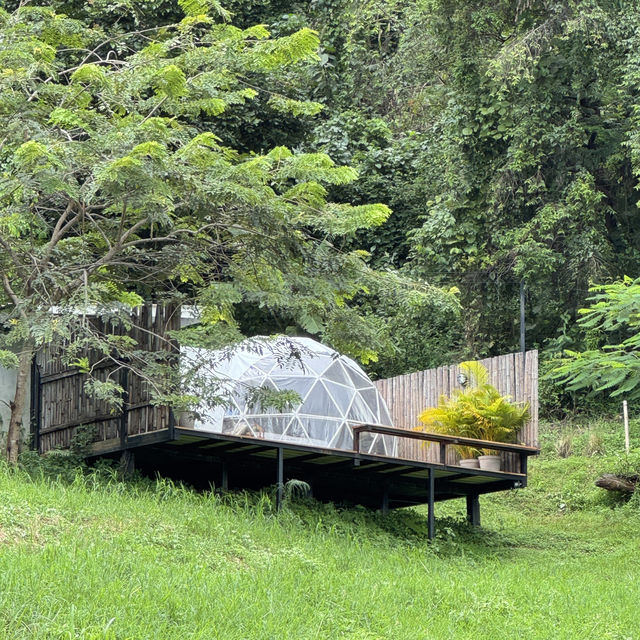 🇹🇭不騎大象也能裝可愛「Elefin Farm & Cafe」