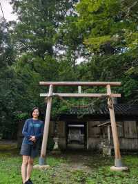 熊野古道中邊路徒步之旅